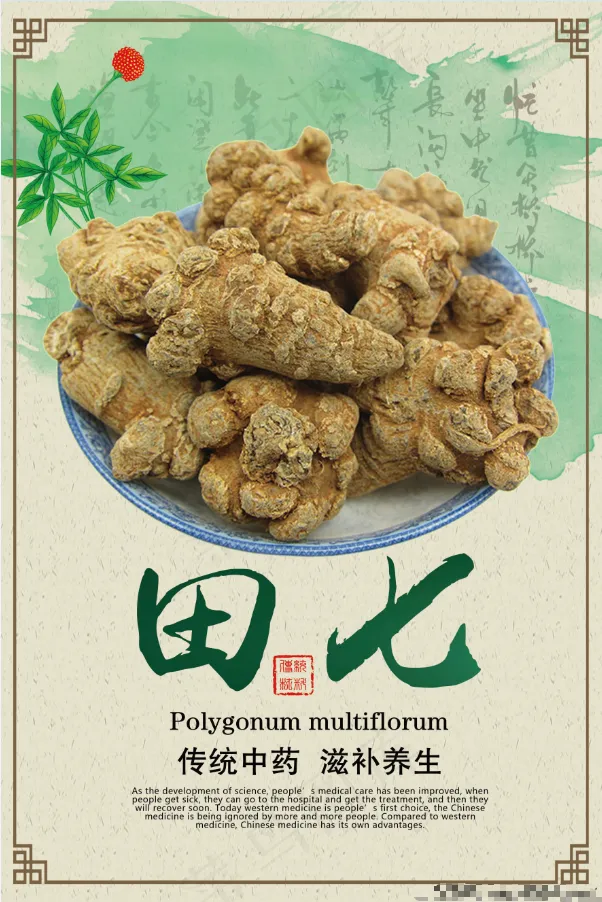 田七psd模版下载