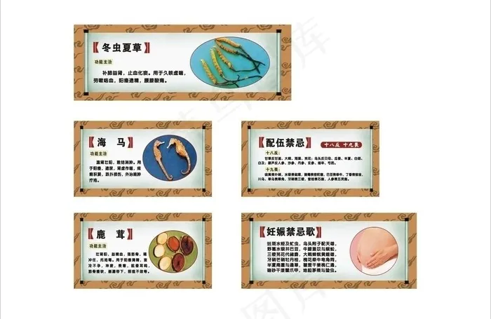 中药柜包装图片cdr矢量模版下载