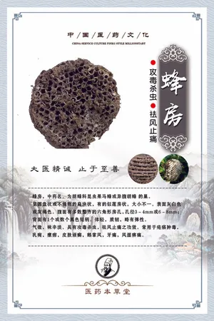 药材中医宣传挂画设计