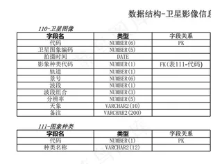 数据结构-卫星影像信息