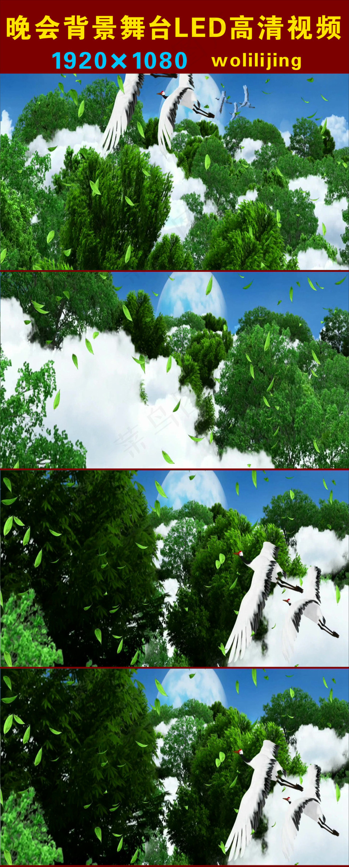 松鹤飞翔高清LED视频