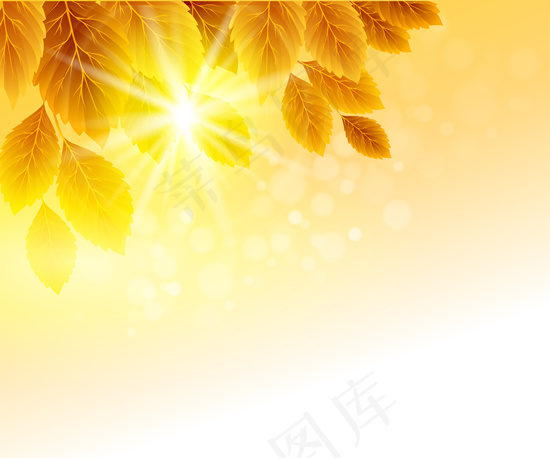 秋天金黄树叶背景eps,ai矢量模版下载