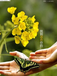 104人力银行创意海报图片