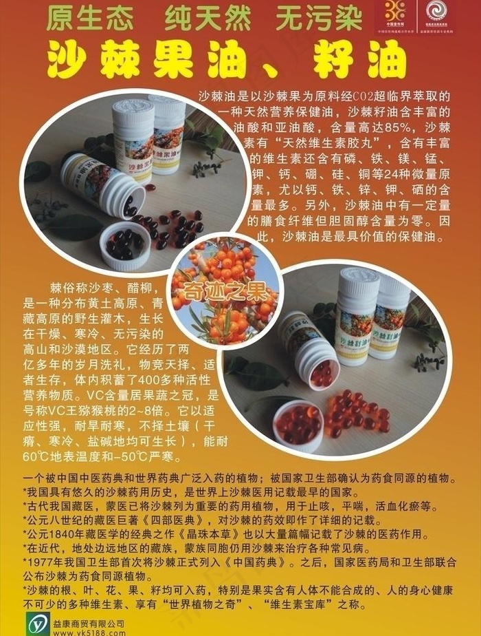沙棘果油籽油图片cdr矢量模版下载