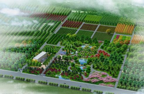 苗圃园林绿化效果图(鸟瞰)图片