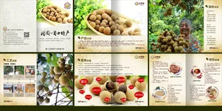 美味桂圆宣传画册PSD分层素材