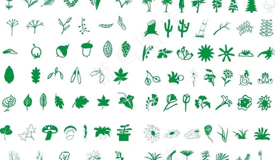 植物 水果 树叶图片