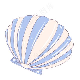 贝壳彩色扇贝贝类贝壳彩色扇贝贝类