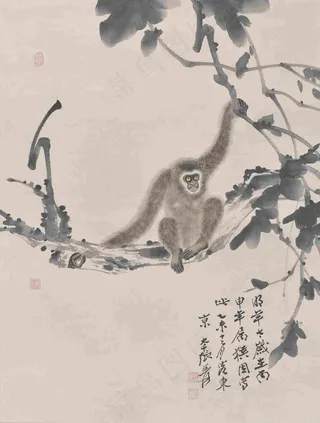 张大千 猴图片
