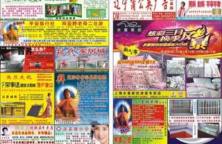 蒲公英广告dm报纸图片