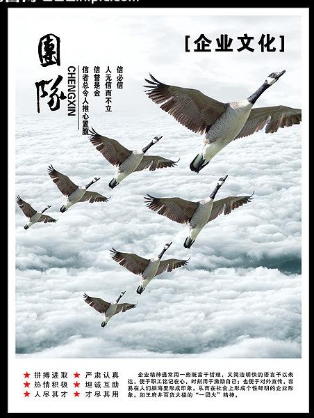 企业文化团队图片(3062X3948(DPI:300))psd模版下载