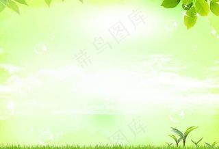 绿色背景图片