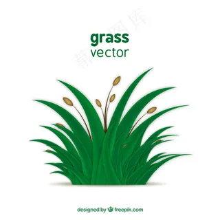 绿色的草 绿色的草