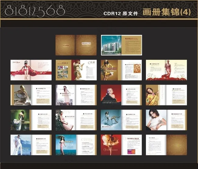 维多利亚女子医院画册矢量素材cdr矢量模版下载