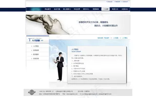 人才战略大气简洁企业通用网站模板