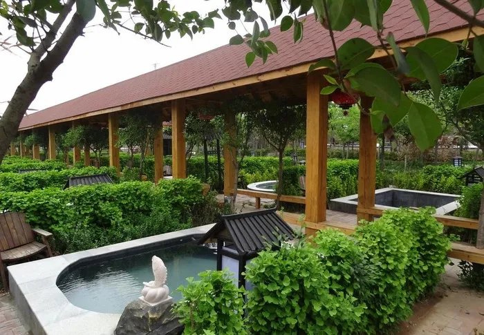 银杏温泉景图片