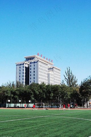 高楼蓝天绿地图片