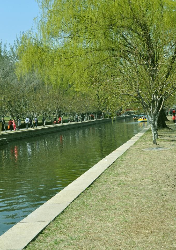 北京的春天图片