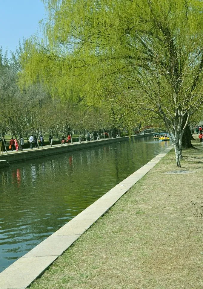 北京的春天图片