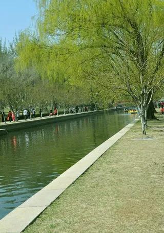 北京的春天图片