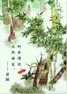 竹 竹