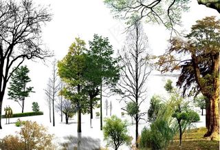 园林景观花草树林鸟瞰透视效果图ps...