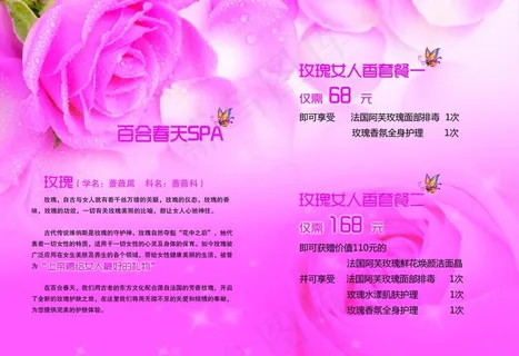 百合春天单页图片