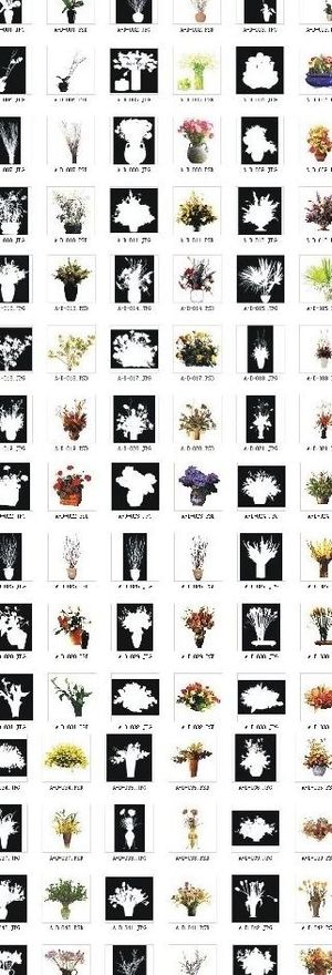 效果图后期ps常用花－全1【超值包...