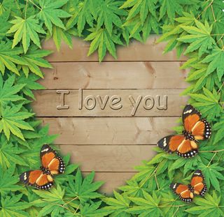 我爱你绿叶边框矢量图