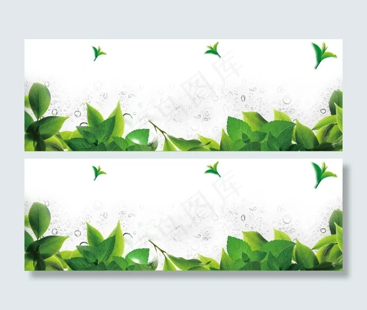 绿叶夏天 春天背景 海报图 banner