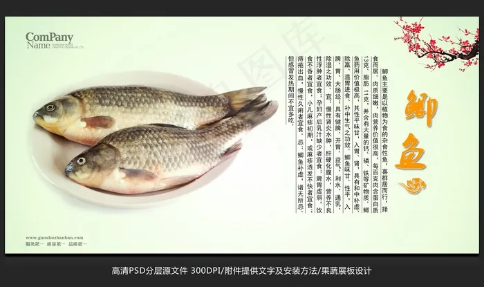 蔬菜展板设计鲫鱼海报招贴广告设计psd模版下载