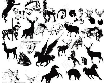 马 牛 羊 猪图片