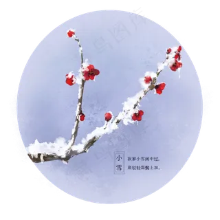 冬季冬天二十四节气小雪雪中梅,免抠元素