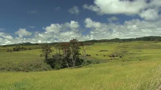 夏威夷农村景观股票视频