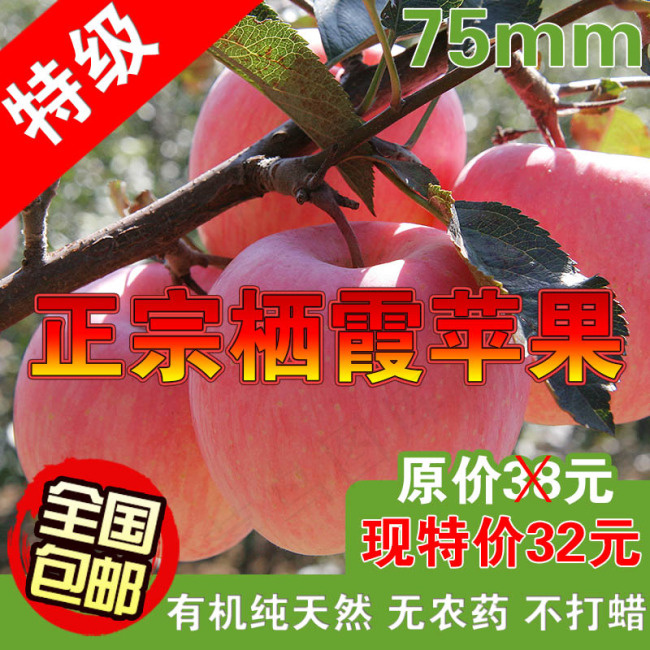 苹果淘宝宝贝图psd模版下载