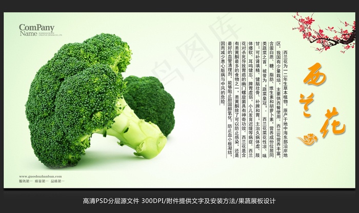 蔬菜展板设计西兰花海报招贴广告设计psd模版下载