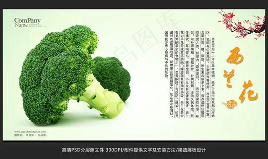 蔬菜展板设计西兰花海报招贴广告设计