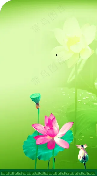 荷花蜻蜓绿色背景.