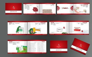 公司手册宣传册图片
