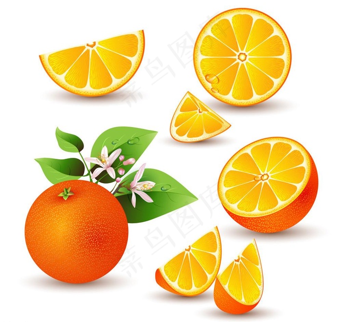 橙子图片