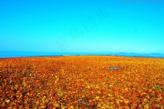 中国海洋风光 南澳杨梅坑图片