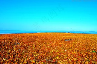 中国海洋风光 南澳杨梅坑图片