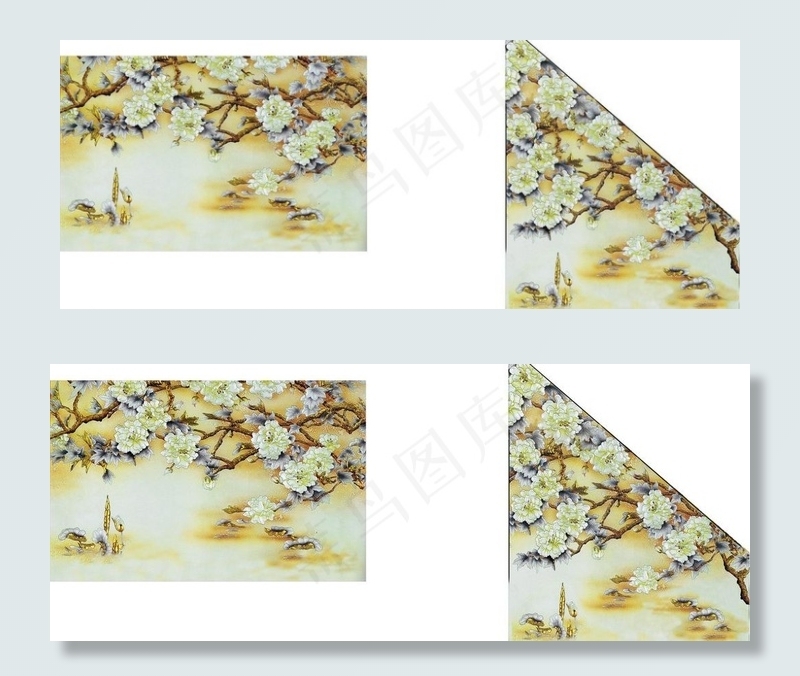 芙蓉花图片