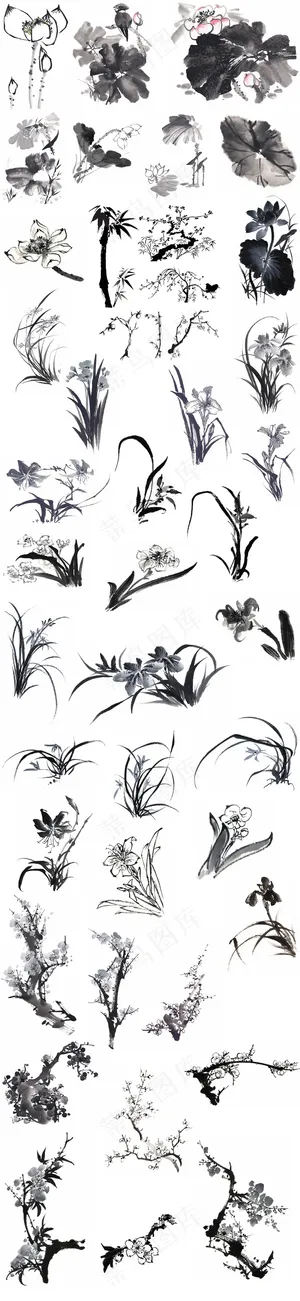 中国风水墨花卉植物素材集合