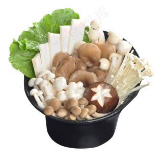 菌菇拼盘 各种蘑菇 吃火锅专用