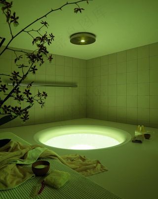 奢华的卫生间图片