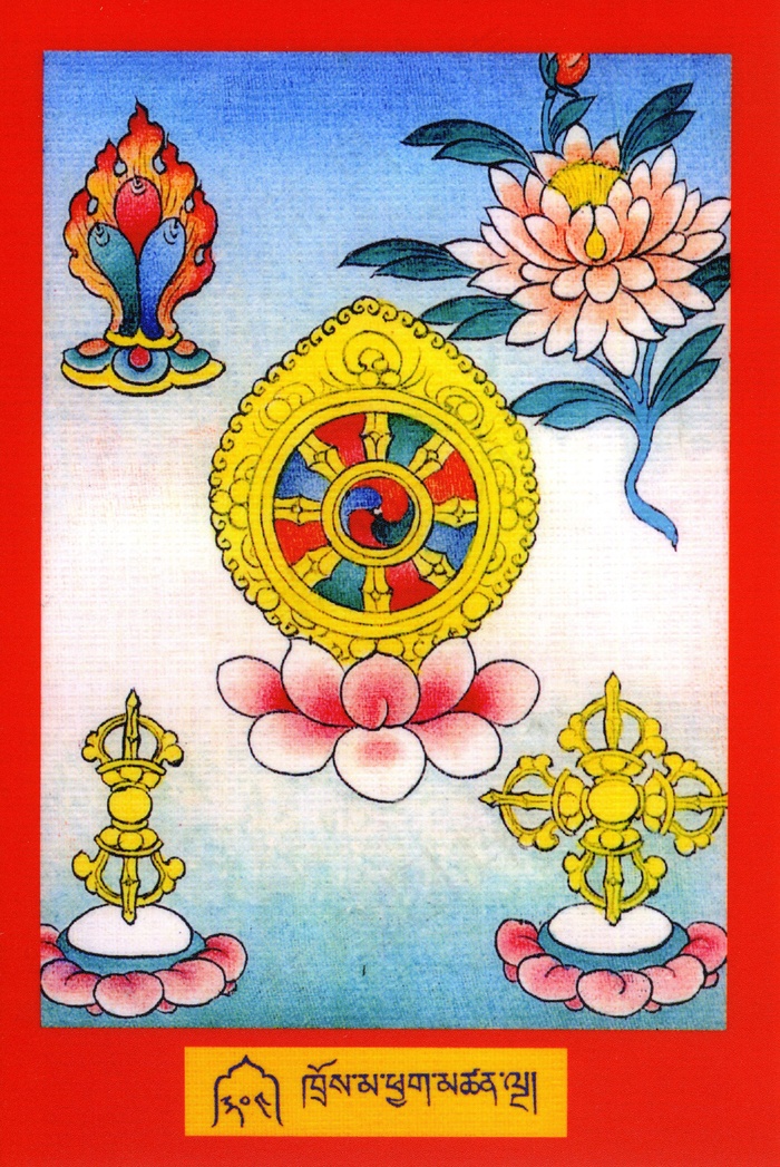 藏宝图片
