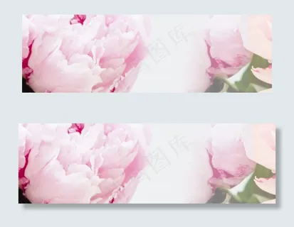 化妆品水果植物组合banner海报...