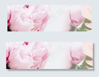 化妆品水果植物组合banner海报...