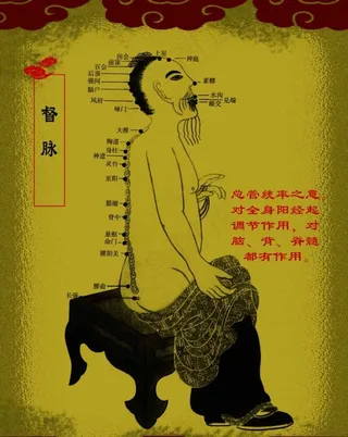 经络图图片